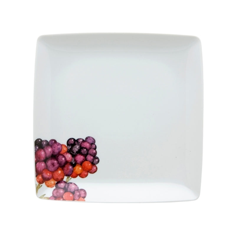 Tropics; Dessert Plate; Red Grapes