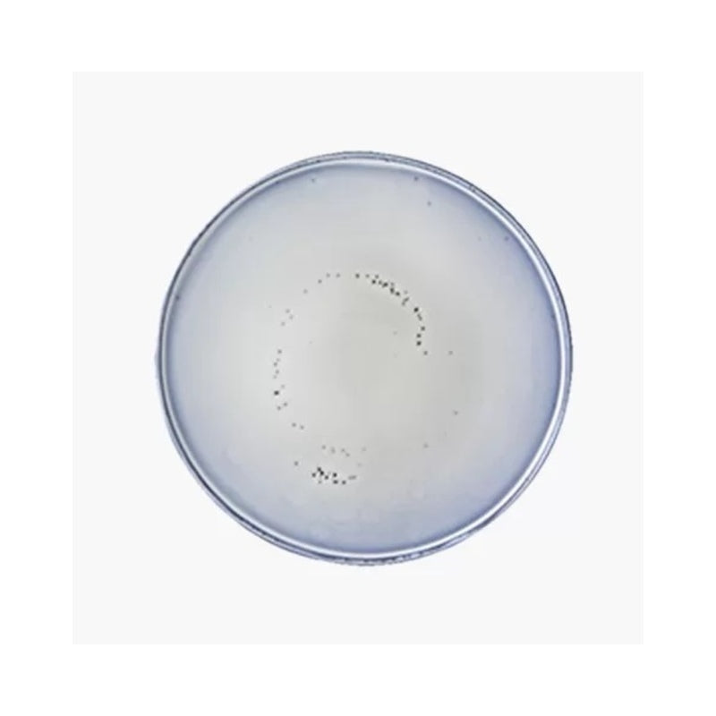 Lagoon Grês; Dinner Plate; 27.5