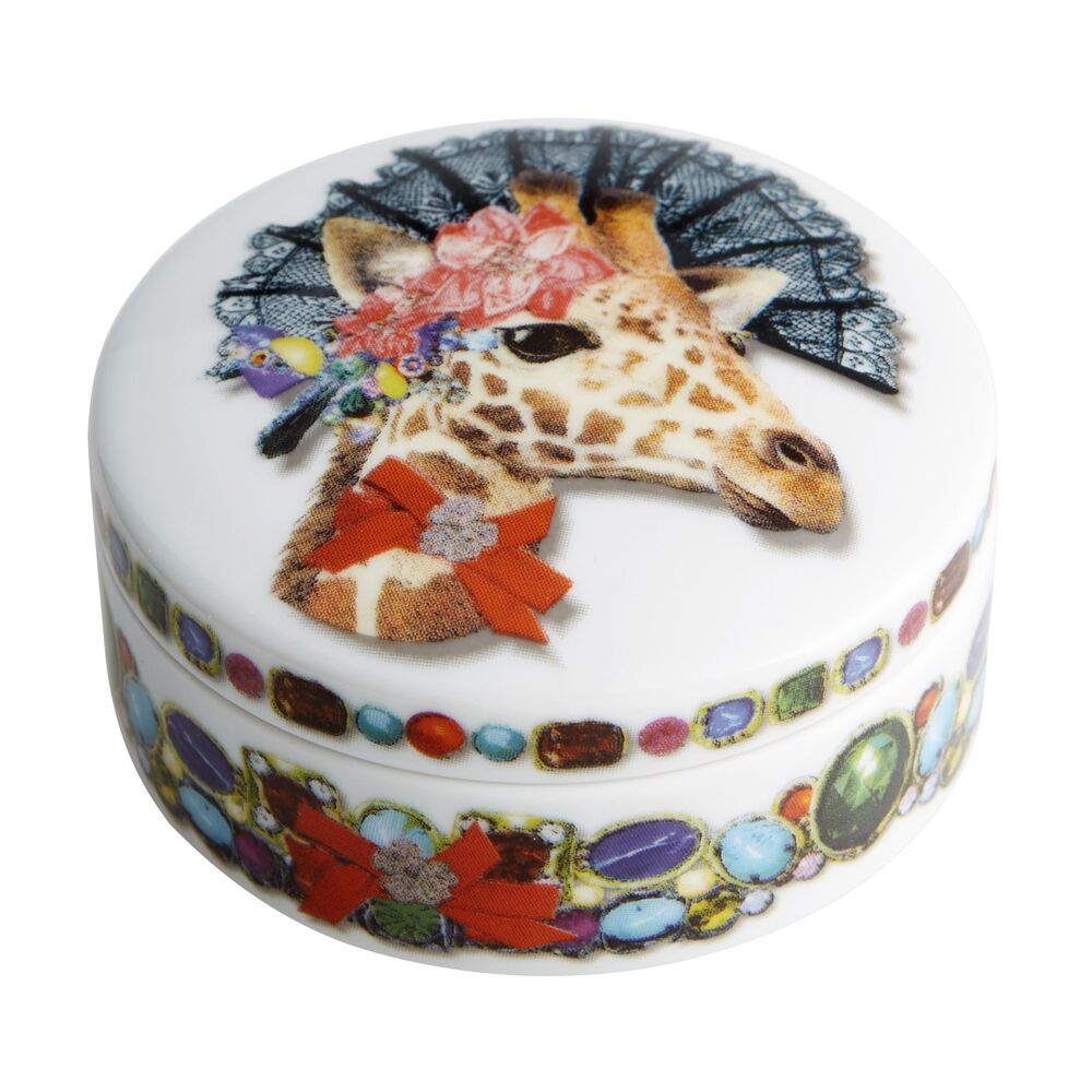 Love Who You Want; Box; "Doña Jirafa"