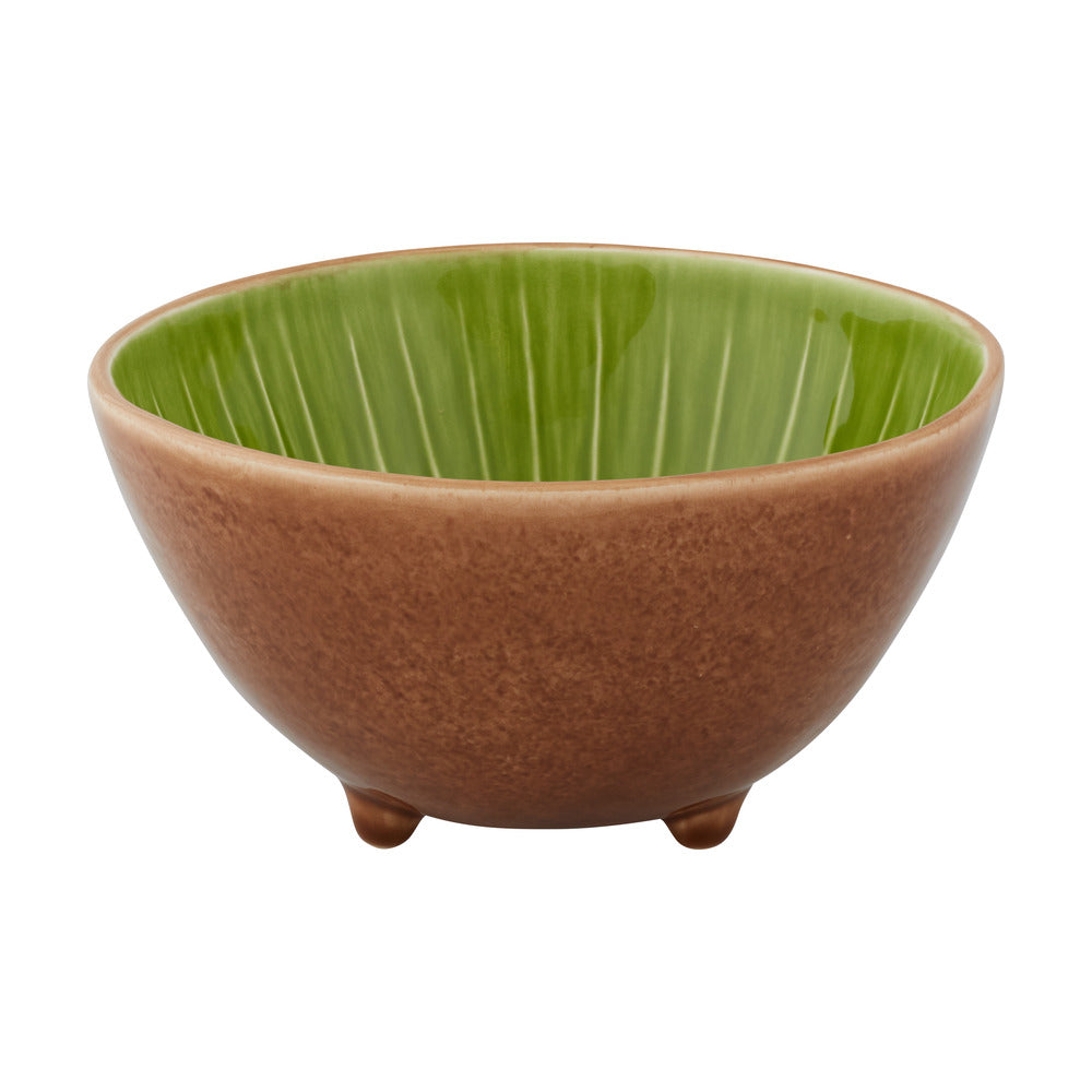 Tropical Fruits; Fruit Bowl; Kiwi